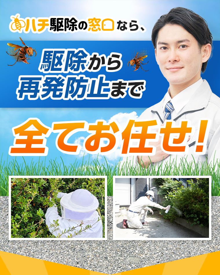 ハチ駆除の窓口なら、駆除から再発防止まで全てお任せ！