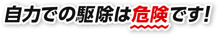 自力の駆除は危険です！ 早めにご相談ください！