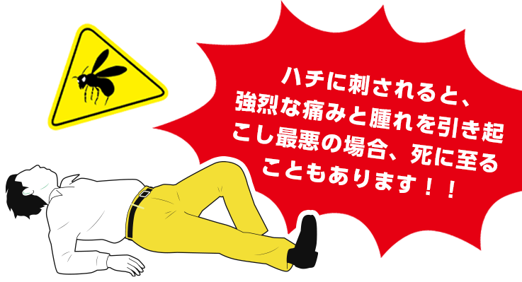 ハチに刺されると、強烈な痛みと腫れを引き起こし最悪の場合、死に至ることもあります！！