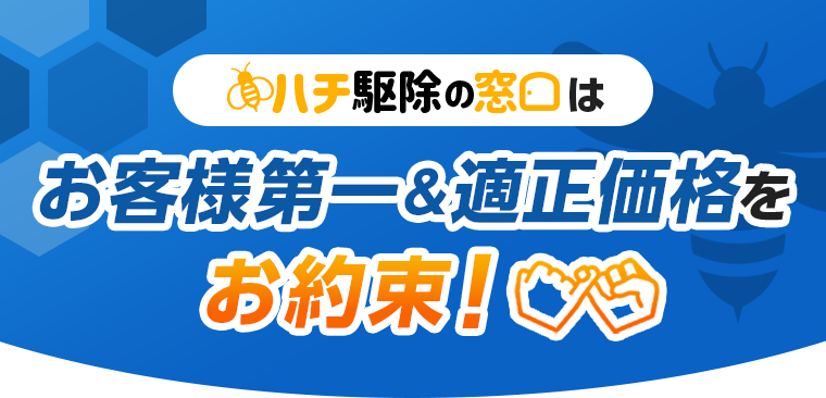 ハチ駆除の窓口はお客様第一＆適正価格をお約束！